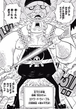 ワンピース カイドウ ビッグマムを倒せるのはこいつだ